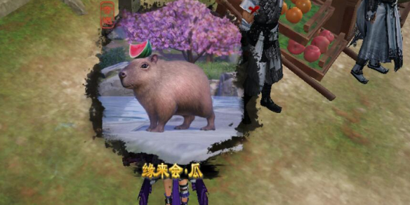 生化危机4重制版第七章：进入城堡的全新难题