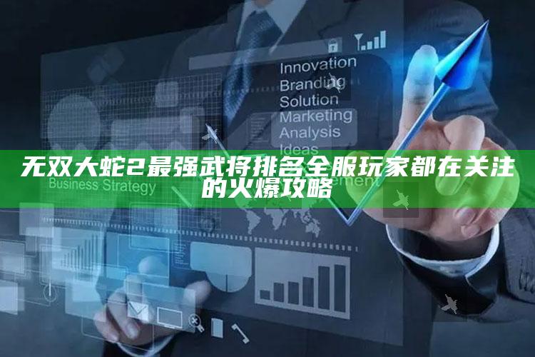 无双大蛇2最强武将排名 全服玩家都在关注的火爆攻略