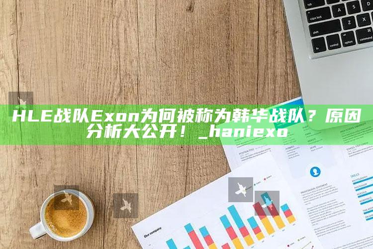 HLE战队Exon为何被称为韩华战队？动因调查大公开！_hani exo