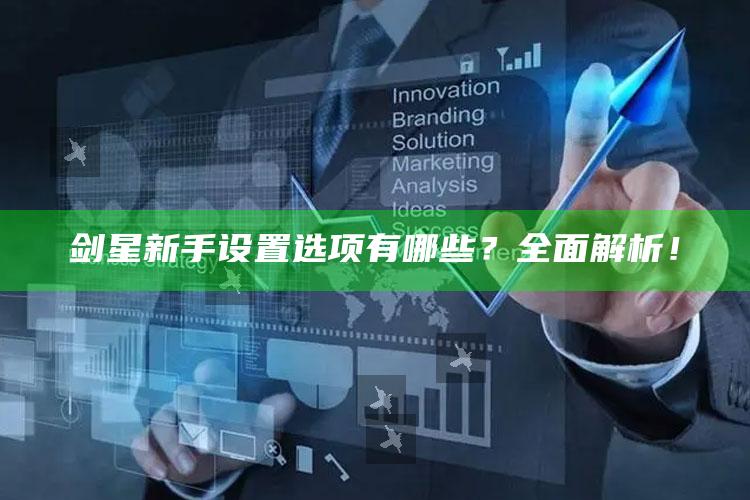剑星新手设置选项有哪些？彻底解析！